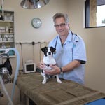 Animal Doctor Staff Portrait