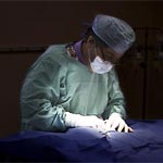 Vet Surgeon