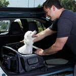 Pet Carrier Lifestyle Photographer
