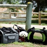 Pet Product Photography
