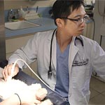 Veterinarian Lifetsyle  Portrait
