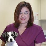 Veterinarian Staff Photography