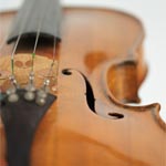 Violin Photographer